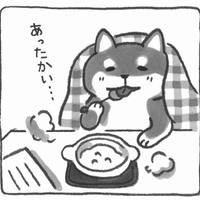 体調がすぐれないとき、「やさしさ」が染みるよね。そんなときに食べたくなるのが【柴犬食堂の12カ月 10】