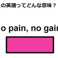 この英語ってどんな意味？「No pain, no gain. 」