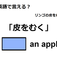 英語で「皮をむく」はなんて言う？