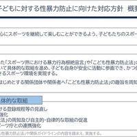 JSPOにおける子どもに対する性暴力防止に向けた対応方針　概要