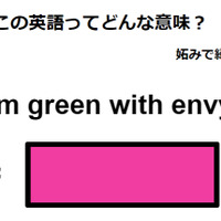 この英語ってどんな意味？「I’m green with envy. 」