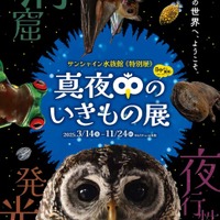 サンシャイン水族館 特別展「真夜中のいきもの展」