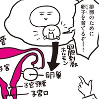 生理が起きる仕組みは、子宮だけではない。生理は、脳からスタートしていた！2種類の女性ホルモンが関係している仕組みをわかりやすくレクチャー【生理前モンスター#6】