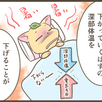 睡眠中の暖房と電気毛布、あり？なし？【眠れぬ森のお医者さん＃49】