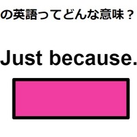 この英語ってどんな意味？「Just because.」