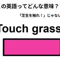 この英語ってどんな意味？「Touch grass. 」