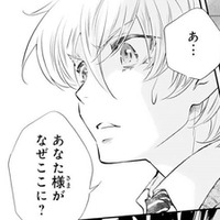 「あなた様がなぜここに？」桁違いに 位の高い鬼のトップが養子縁組に？【鬼の花嫁＃28】