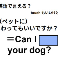 英語でどう言う？「(ペットに)さわってもいいですか？」