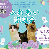 青木さやかさん参加！6/15（日）＠富士宮市「運命の家族にも出会うかも…？」仔猫・成猫・犬の譲渡会