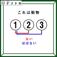 クイズです！「これは動物！何でしょう？」ない、ほぼない！どういうこと？【難易度LV４.・辛口】