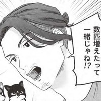 殺処分の猫を引き取りに？…猫愛が溢れすぎの男の運命に何が？【借金1000万作曲家の人生を変えてくれた猫の話 #６】