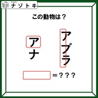 クイズです！「図が表す動物は何でしょうか？」ワクの位置も重要みたいですよ！【難易度LV３.・中辛】