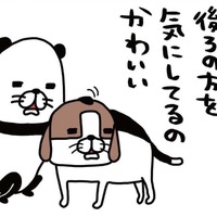 自分がした「おなら」の音にびっくり！愛犬・梅吉が少し後ろを確認してるのは、なぜ？【パンダと犬 ＃７】