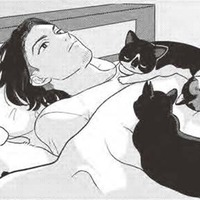 猫が遊べる「家」建てたい…飼い主を放っておかない猫ライフ？【借金1000万作曲家の人生を変えてくれた猫の話 #10】