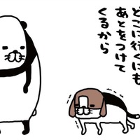 愛犬に洋服を着せてその間に手を入れてなでる…あたたかい【パンダと犬 ＃12】
