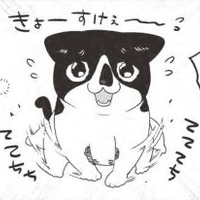 「マンション買ってよかった〜」駆け寄る猫の姿に幸せMAX。走り方がヘタなのには理由が…【借金1000万作曲家の人生を変えてくれた猫の話 #12】