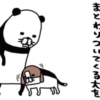愛犬の顔をよくよく観察。なにやら「わさわさ」している存在が…【パンダと犬 ＃14】
