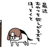食事はカリカリとジャーキーの繰り返し。全く飽きたそぶりナシ？【パンダと犬 ＃15】
