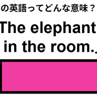 この英語ってどんな意味？「The elephant in the room. 」