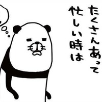 忙しい時こそ愛犬を捕まえて「やりたくなる意外な行動」とは？【パンダと犬 ＃21】