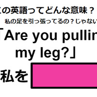 この英語ってどんな意味？「Are you pulling my leg?」