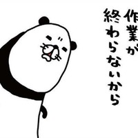 いくらやっても終わらず疲れた…ゴロゴロする愛犬・梅吉を見つめる不思議な衝動とは？【パンダと犬 ＃23】