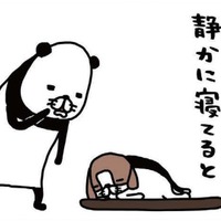 ヨボヨボの愛犬、14歳の梅吉。静かに寝てると思わず取ってしまう行動は？【パンダと犬 ＃24】