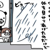 雨風強い日に愛犬。濡らさないように、そっと包み込むのはナゼ？【パンダと犬 ＃26】