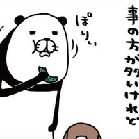 世の中思い通りにいかないことのほうが多いけど…犬はかわいい【パンダと犬 ＃27】