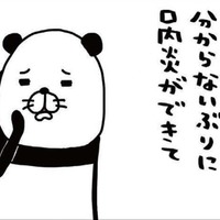 愛犬を撫でても収まらない「むかむか」。なでる以上に効果的な行動って？【パンダと犬 ＃31】