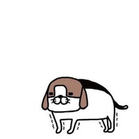 ヨボヨボ愛犬、一人でできないことが増えるばかり。それでも愛おしすぎるのはナゼ？【パンダと犬 ＃35】