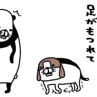 ヨロヨロ愛犬が立てず、駆け寄ると…。恩返しの「おなら」炸裂!?【パンダと犬 ＃37】
