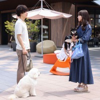 成田凌、清原果耶「初恋DOGs」第1話(C)TBS
