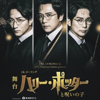 「ハリー・ポッターと呪いの子」チラシビジュアル(C)TBS/ホリプロ