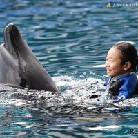 「Swimming with Dolphin~Deep emotion~」のようす