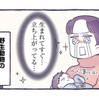 乳児育児で大変だったランキング大公開！ 出産前も産後も人の優しさに救われる【だれかのやさしさに、今日も救われてます #５】