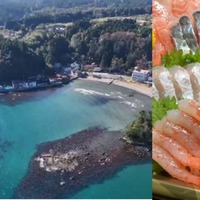 【2025年 能登の旅】心と体が癒される！パワーをもらえるスポット5選。東京⇔能登の二拠点生活者がご案内！