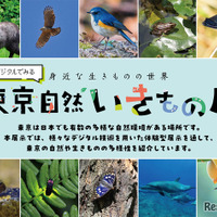 デジタルでみる東京自然いきもの展