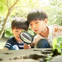 自由研究(イメージ)