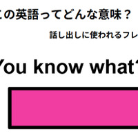 この英語ってどんな意味？「You know what」