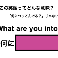 この英語ってどんな意味？「What are you into?」