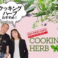 【「クッキングハーブ」家の調味料に加えて！】薬に頼らず「植物の力で健康」を目指すには？ おすすめ「簡単」ハーブレシピも≪新羅慎二×菅原あゆみの「植物最高」トーク≫