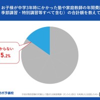 中学3年時にかかった塾や家庭教師の年間費用を教えてください