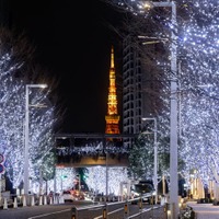 けやき坂イルミネーション（提供写真）