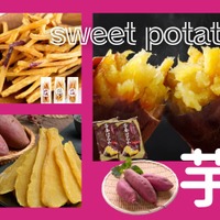【「シンプル芋スイーツ」ヘルシーだから罪悪感控えめ！ ダイエットにも!?】「秋太り」には、できるだけ「素材まんま」の「さつまいものおやつ」でおいしく抵抗！ ≪Amazon今トク情報≫