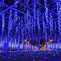 光の花の庭～Flower Fantasy（提供写真）