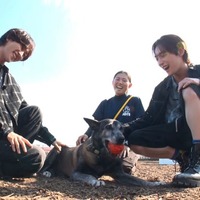 ROIROM「笑える!泣ける!動物スクープ100連発」(C)TBS