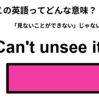 この英語ってどんな意味？「Can’t unsee it.」