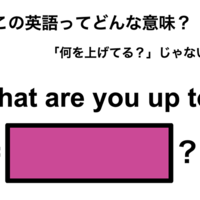 この英語ってどんな意味?「What are you up to?」
