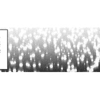 議員の娘、子どものころから「なんでも私が一番」が当たり前【SNSでディスる妻たち #21】